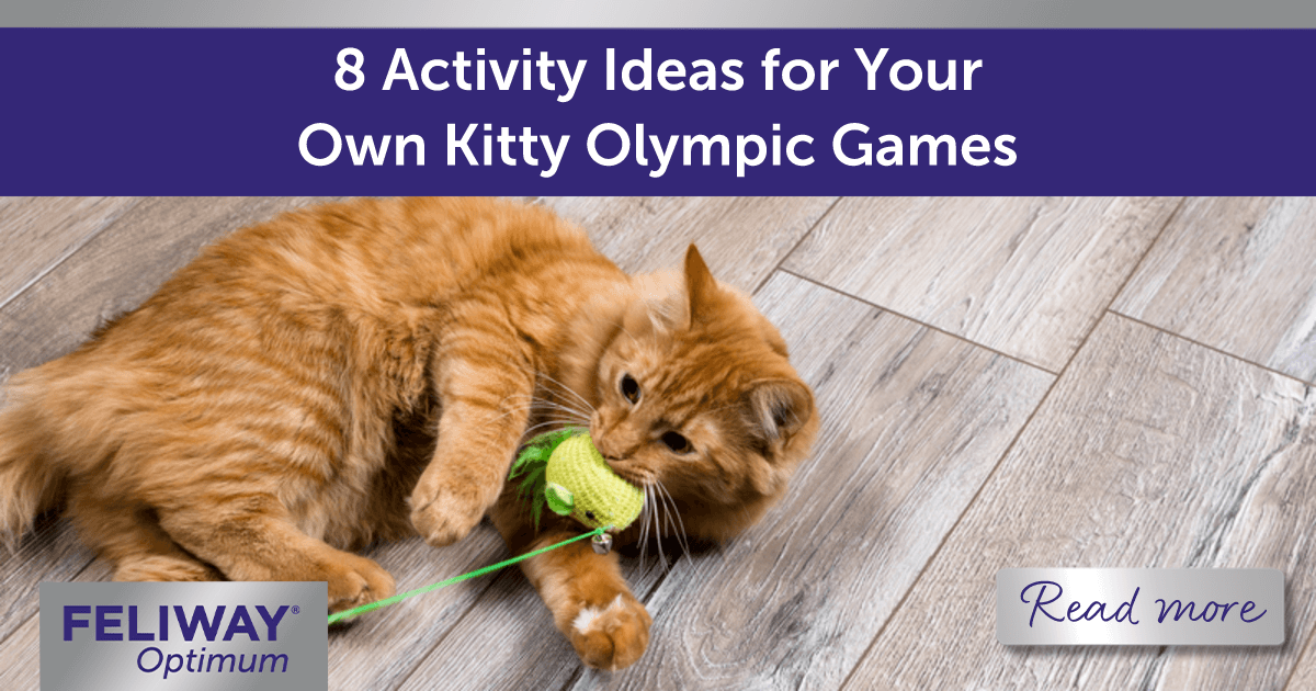 Hello Kitty Team USA Olympic Doll – Watch Time Inc.